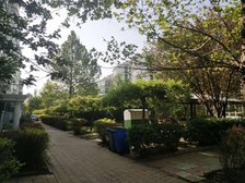 韩村河·雅苑·3室·2厅