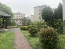 采光刺眼,各个功能间都是明窗,户型正气。