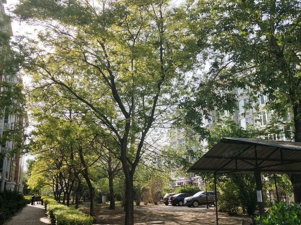 小区相关图