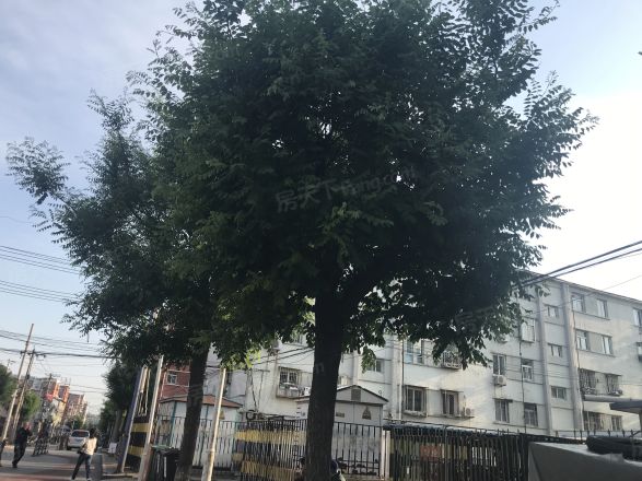 北关东路实景图
