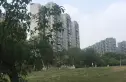 滨河丽景实景图