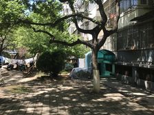 京原路5号院2室1厅南