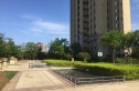 金成府实景图