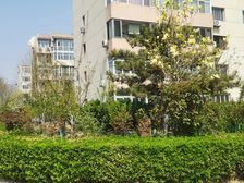 王府温馨公寓2室2厅南北