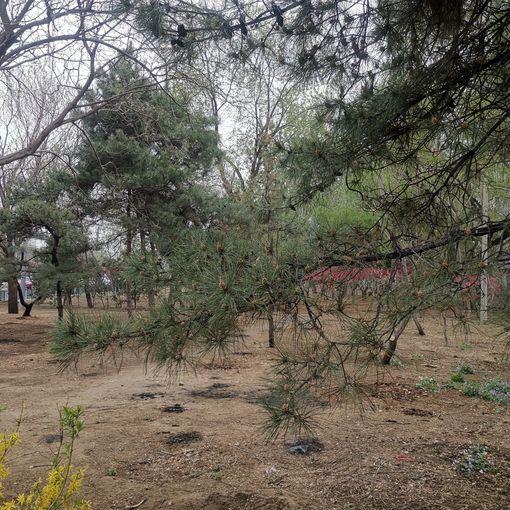  ���⡤�ú�԰���౱԰С����3�� 