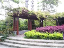 三林南大三房户型好满伍清水毛坯