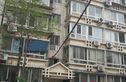 杨庄路8号院实景图