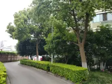 12号线虹梅路站,同济华城复试房