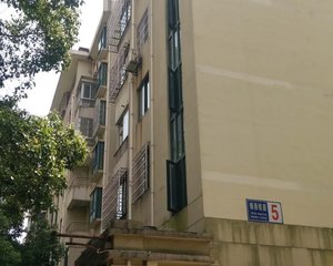 房东诚意出售,装修好自住装修。。
