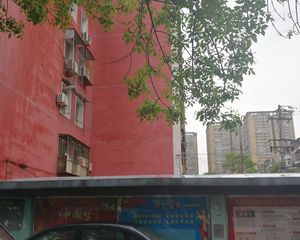 大井中里1室1厅南