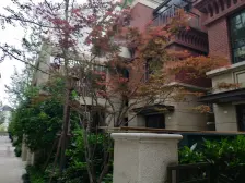 泗泾·新城上坤樾山四季·3室·2厅