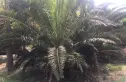 滨河丽景实景图