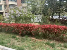 明珠花园 1室1厅 南 北