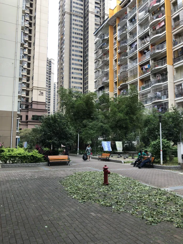 【南宁翠竹苑小区,二手房,租房】- 南宁房天下