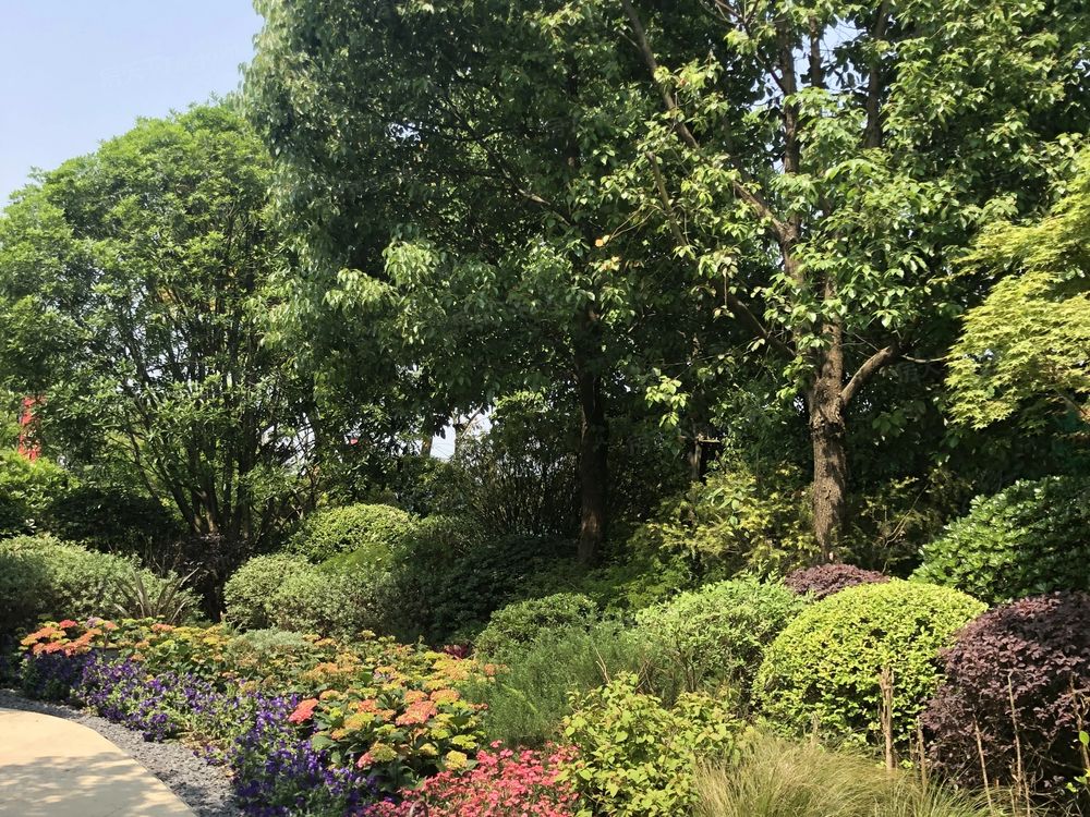 小区相关图