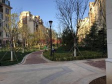 甘井子区亿达春田春田里洋房 精装修配套齐全