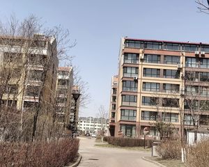 奥林小镇洋房毛坯清水房随便装带花园