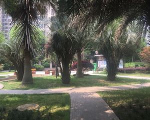 北辰美庐3室1厅南