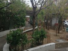 南五里店45号院2室1厅南北