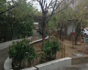 南五里店45号院2室1厅南北