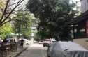 贝森兴园实景图