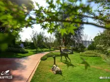 碧桂园中央公园北苑 3室2厅 南