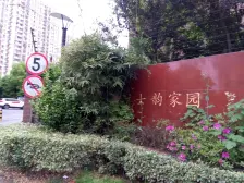 三林·士韵家园(二期)·2室·1厅