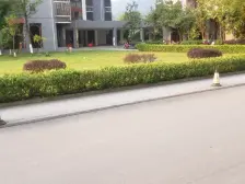 户型好 房子新 价格便宜 中间楼层 配套齐