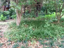 一梯两户大四房,得房率高,近小区花园,看房方便可谈