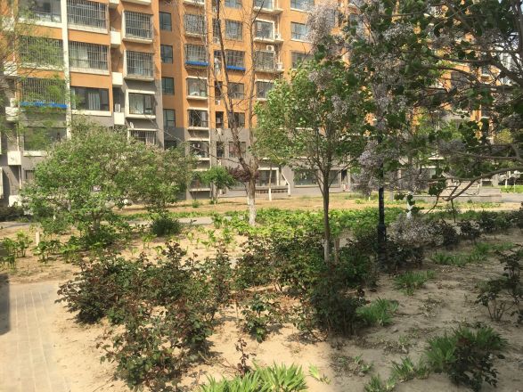 泰河园一里一区实景图