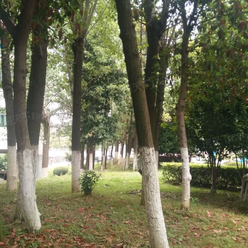  ���̲����С��3��2��1���ϱ�����1800.00Ԫ/�³��� 