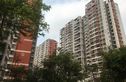 国际新城实景图