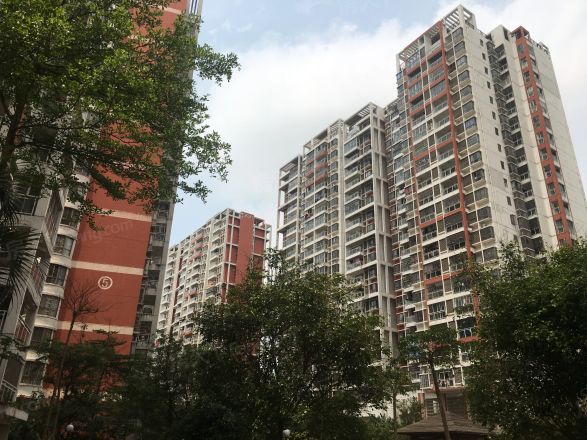 国际新城实景图