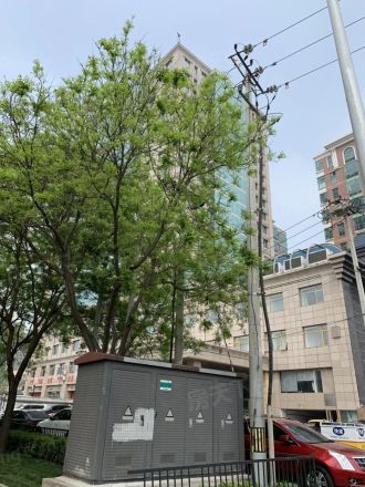 长安六号实景图