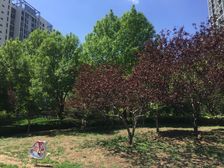 万达商圈层高2.9米全明卫生间三居