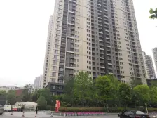 自住标准 满五唯一 雕塑公园旁 人车分流