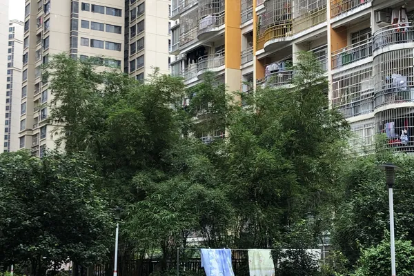 【南宁翠竹苑小区,二手房,租房】- 南宁房天下