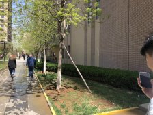 红星国际广场 2室1厅 南 北