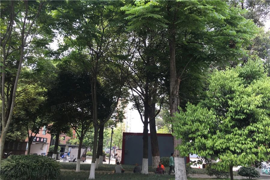小区相关图