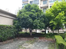 大复式,视野好,空间大,布局灵活