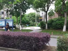 江秋新苑(别墅) 4室2厅 南