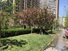 红星国际底商近车站地铁交通便利人气充足