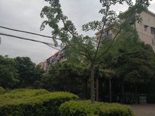 近地铁,小区中心位置,3楼大一房,南北通,一梯两户