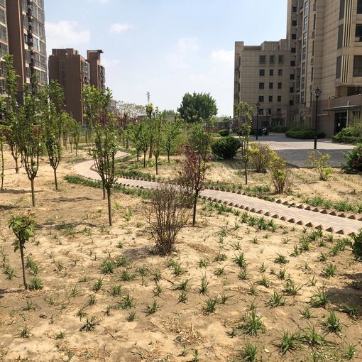  ������ɫ3��1��1���ϱ�����1300.00Ԫ/�³��� 