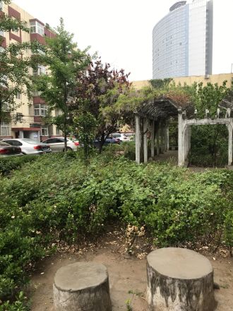 玉桥西里70号院实景图