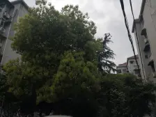 近地铁,小区中心位置,3楼大一房,南北通,一梯两户