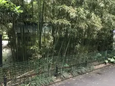 老静安、大易居、罕见落地窗、品质小区刷卡到户