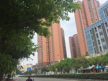 比华利国际城三期3室1厅西北