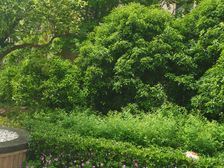 悦豪斯新上底复,使用面积大,小区中间,通勤便利