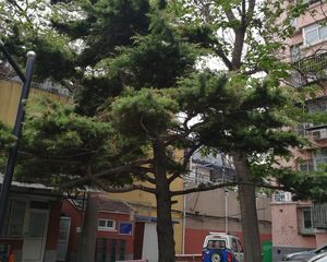 马家堡路27号院2室1厅东西